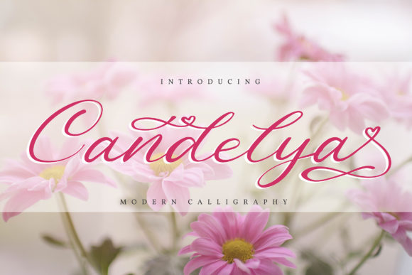 Candelya: The Handwritten Typeface for Scroll-Stopping Campaigns