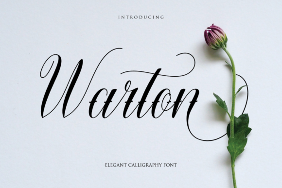 Warton: The Elegant Script Handwritten Font for Creative Brands